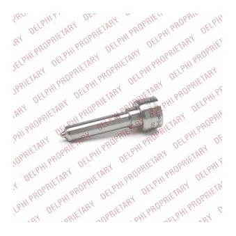 Nez d'injecteur DELPHI L079PBD