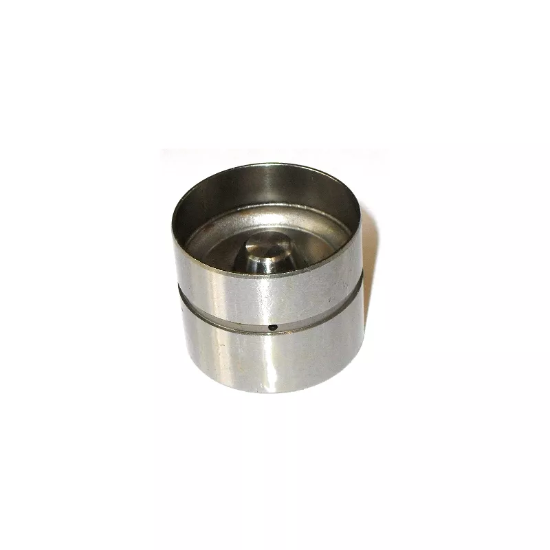 Poussoir hydraulique OE PI060010