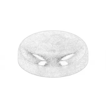 Bouchon de liquide de refroidissement OE 14329101