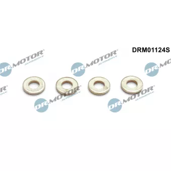 Kit de joints, injecteur Dr.Motor DRM01124S