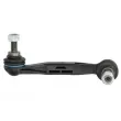 Entretoise/tige, stabilisateur arrière gauche REINHOCH RH07-3024 - Visuel 1