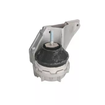 Support moteur REINHOCH RH11-0001