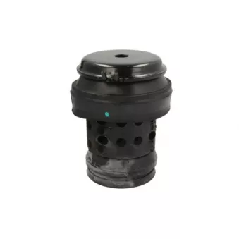 Support moteur REINHOCH RH11-0013