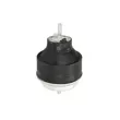 Support moteur REINHOCH RH11-0016 - Visuel 1