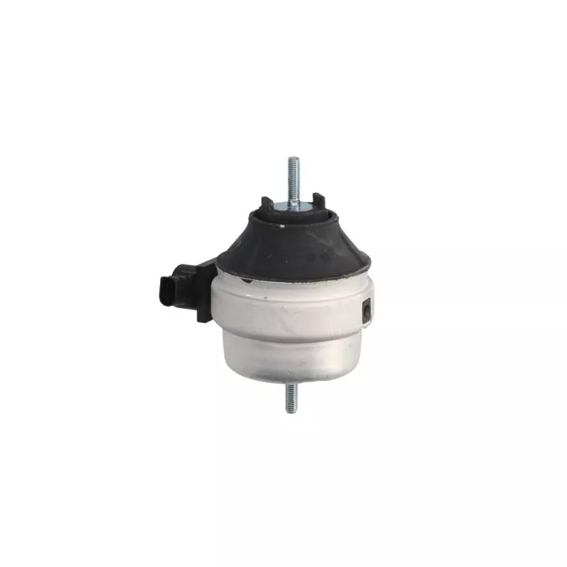 Support moteur REINHOCH RH11-0023