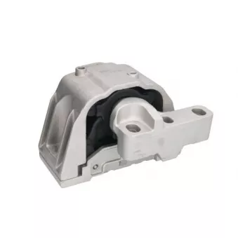 Support moteur REINHOCH RH11-0025