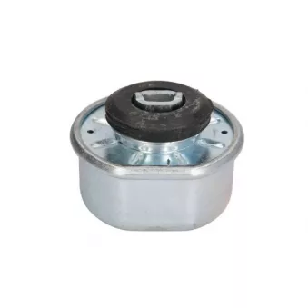 Support moteur REINHOCH RH11-0029
