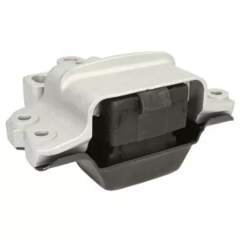Suspension, boîte automatique REINHOCH RH11-0035