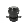 Support moteur arrière droit REINHOCH RH11-0040 - Visuel 1