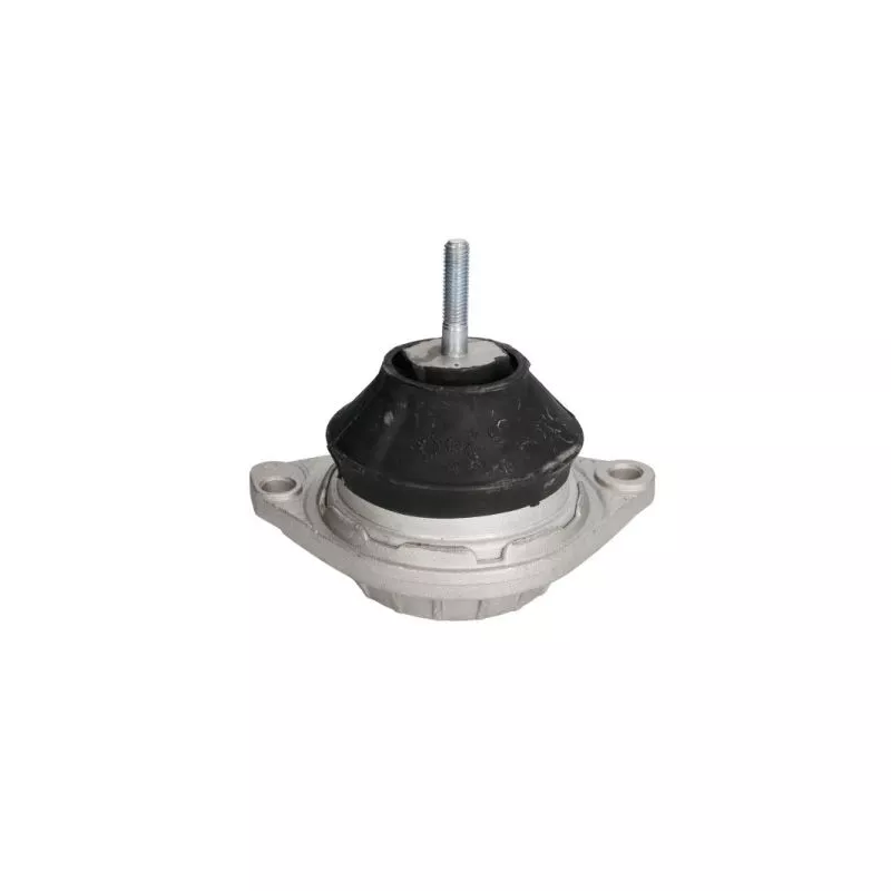Support moteur REINHOCH RH11-0041