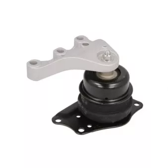Support moteur REINHOCH RH11-0048
