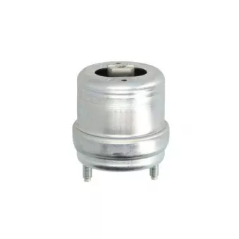 Support moteur REINHOCH RH11-0054