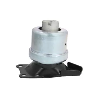 Support moteur REINHOCH RH11-0059