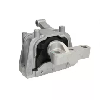 Support moteur REINHOCH RH11-0060