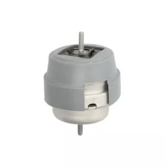 Support moteur REINHOCH RH11-0063