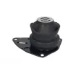 Support moteur REINHOCH RH11-0064 - Visuel 1