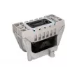 Support moteur REINHOCH RH11-0066 - Visuel 2