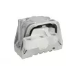 Support moteur REINHOCH RH11-0067 - Visuel 1