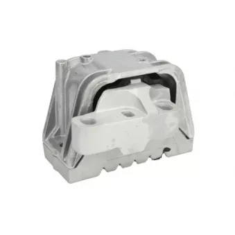Support moteur REINHOCH RH11-0067