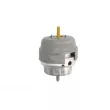 Support moteur REINHOCH RH11-0069 - Visuel 1