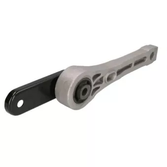 Support moteur REINHOCH RH11-0070