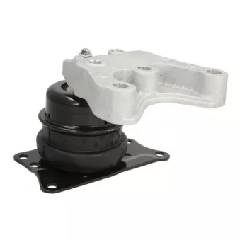 Support moteur REINHOCH RH11-0083