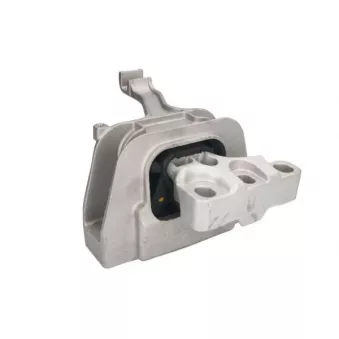 Support moteur REINHOCH RH11-0088