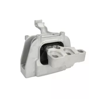 Support moteur REINHOCH RH11-0091