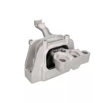 Support moteur REINHOCH RH11-0093