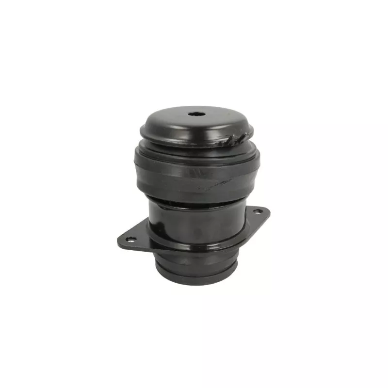 Support moteur REINHOCH RH11-0107
