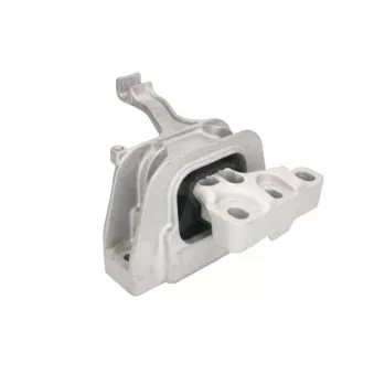 Support moteur REINHOCH RH11-0109