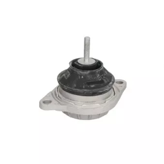 Support moteur REINHOCH RH11-0120