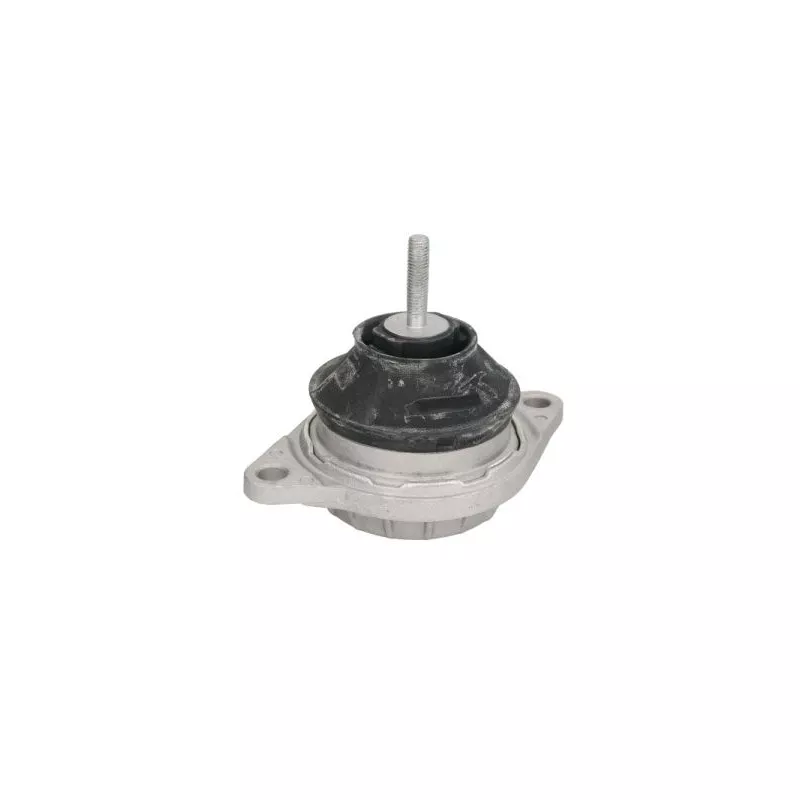 Support moteur REINHOCH RH11-0120