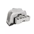 Support moteur REINHOCH RH11-0122 - Visuel 1