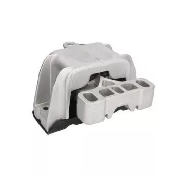Support moteur REINHOCH RH11-0122