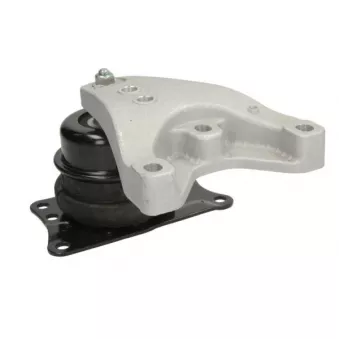 Support moteur REINHOCH RH11-0123