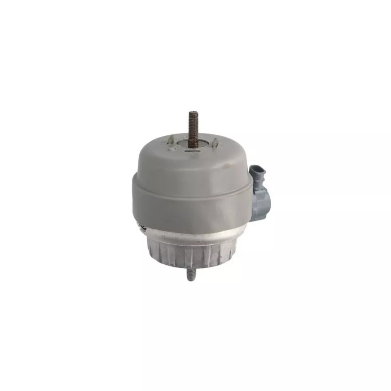Support moteur REINHOCH RH11-0127