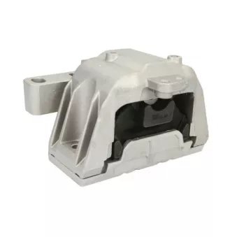 Support moteur REINHOCH RH11-0131
