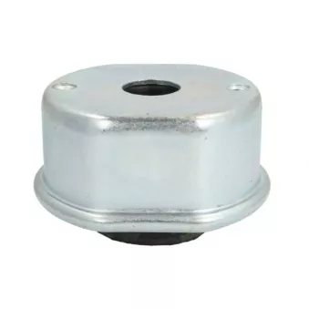 Support moteur REINHOCH RH11-0132