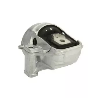 Support moteur REINHOCH RH11-0135
