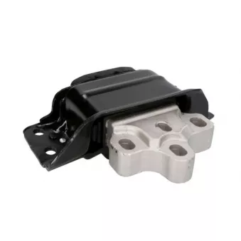 Support moteur REINHOCH RH11-0143