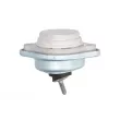 Support moteur REINHOCH RH11-0148 - Visuel 2