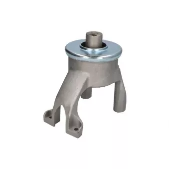 Support moteur REINHOCH RH11-0158