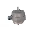 Support moteur REINHOCH RH11-0159 - Visuel 1