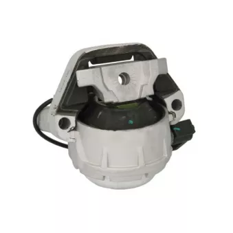 Support moteur REINHOCH RH11-0163