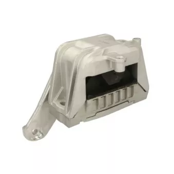 Support moteur REINHOCH RH11-0164