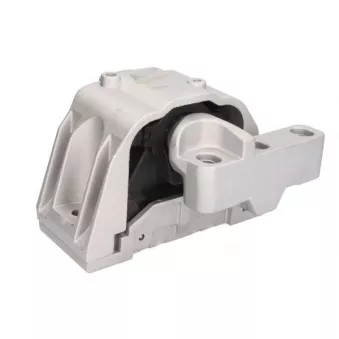 Support moteur REINHOCH RH11-0166