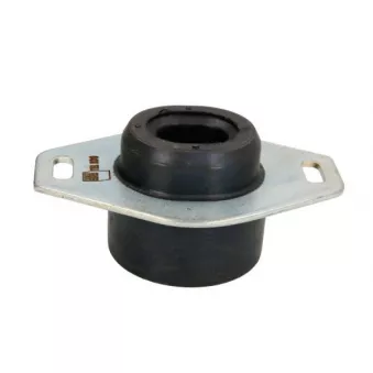 Support moteur REINHOCH RH11-1004