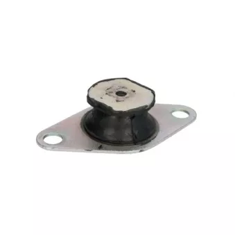 Support moteur arrière gauche REINHOCH RH11-1007