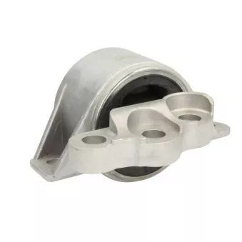 Support moteur REINHOCH RH11-1038
